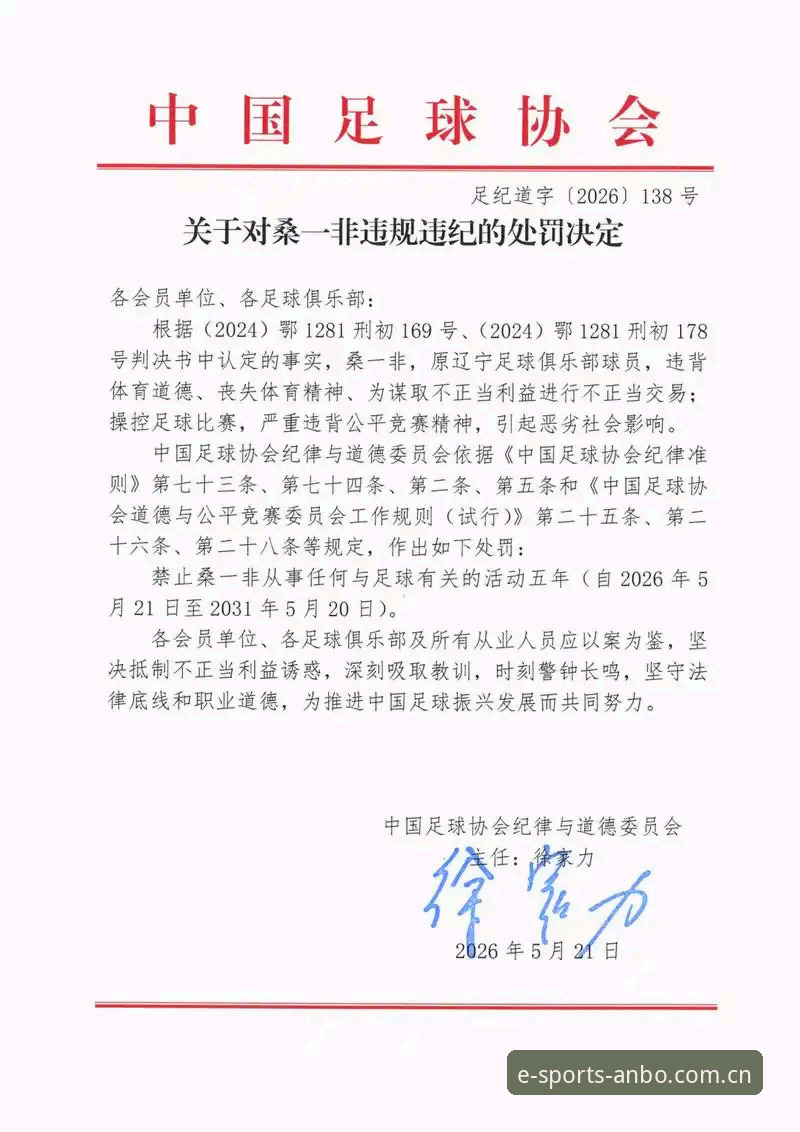 足协第三批禁足名单 vs 行业自律：65人处罚背后的足球治理新格局